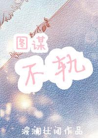 图谋不轨的谋是什么意思