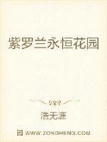 紫罗兰永恒花园讲述了什么故事