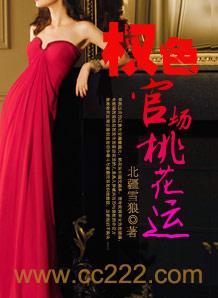 权色官场桃花运 图书