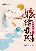 嫁给摄政王后我躺赢了 茶花有酒