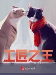 工匠之王全文免费阅读