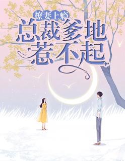 撩妻狂魔总裁爹地太难缠